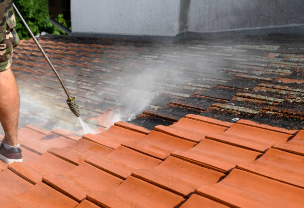 Best Residential Pressure Washing Services  in Swepsonville, NC